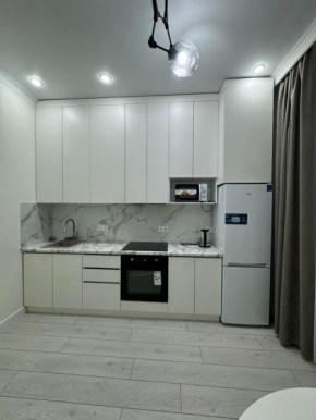 ЖК Alpamys, 1 комнатная квартира